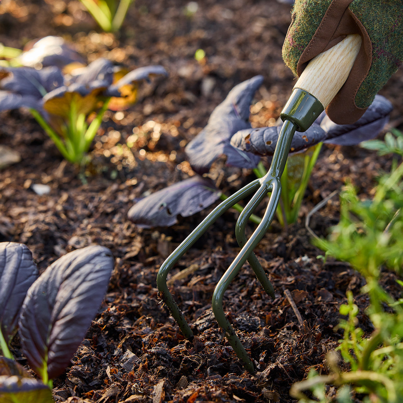 Claw Cultivator with Boron Steel Head and Ash Wood Handle