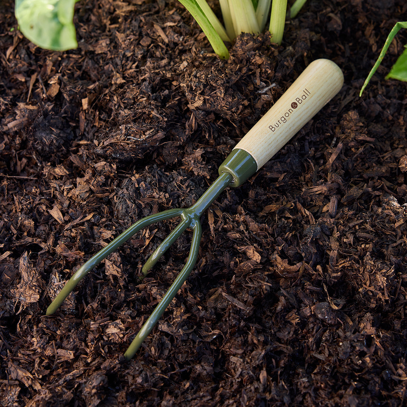 Claw Cultivator with Boron Steel Head and Ash Wood Handle
