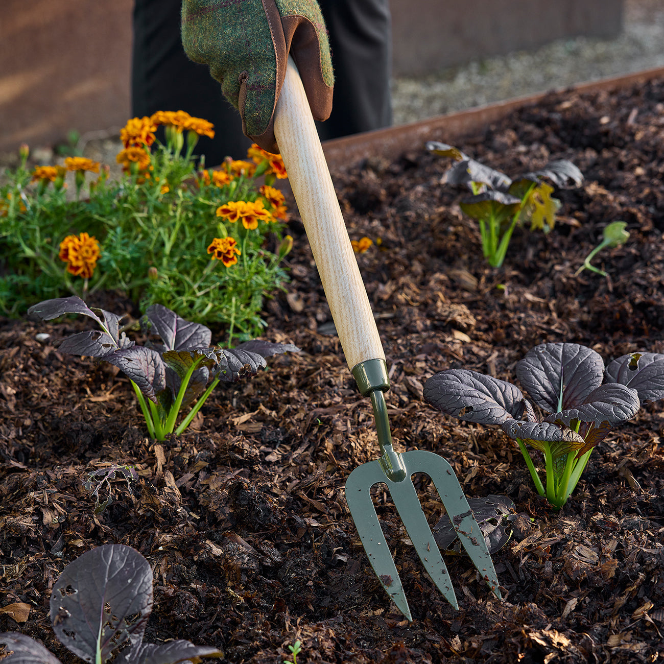 Mid Handled Garden Fork with Boron Steel Head and Ash Wood Handle