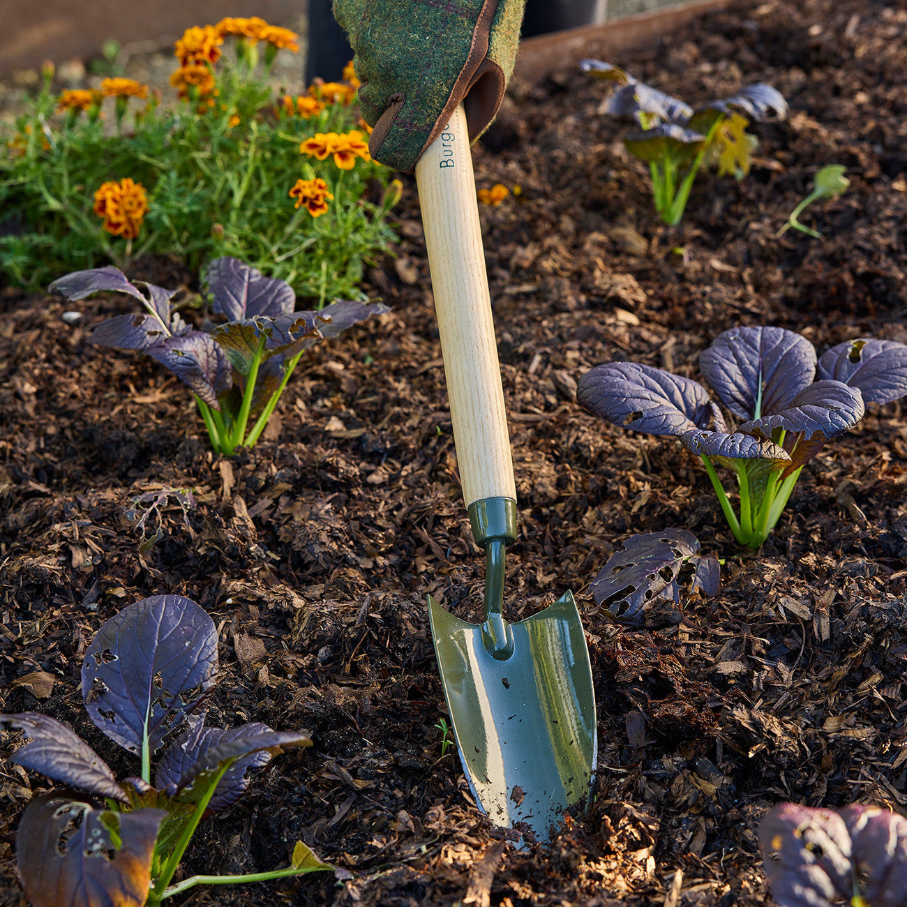 Mid-Handled Garden Trowel with Boron Steel Head and FSC Ash Handle