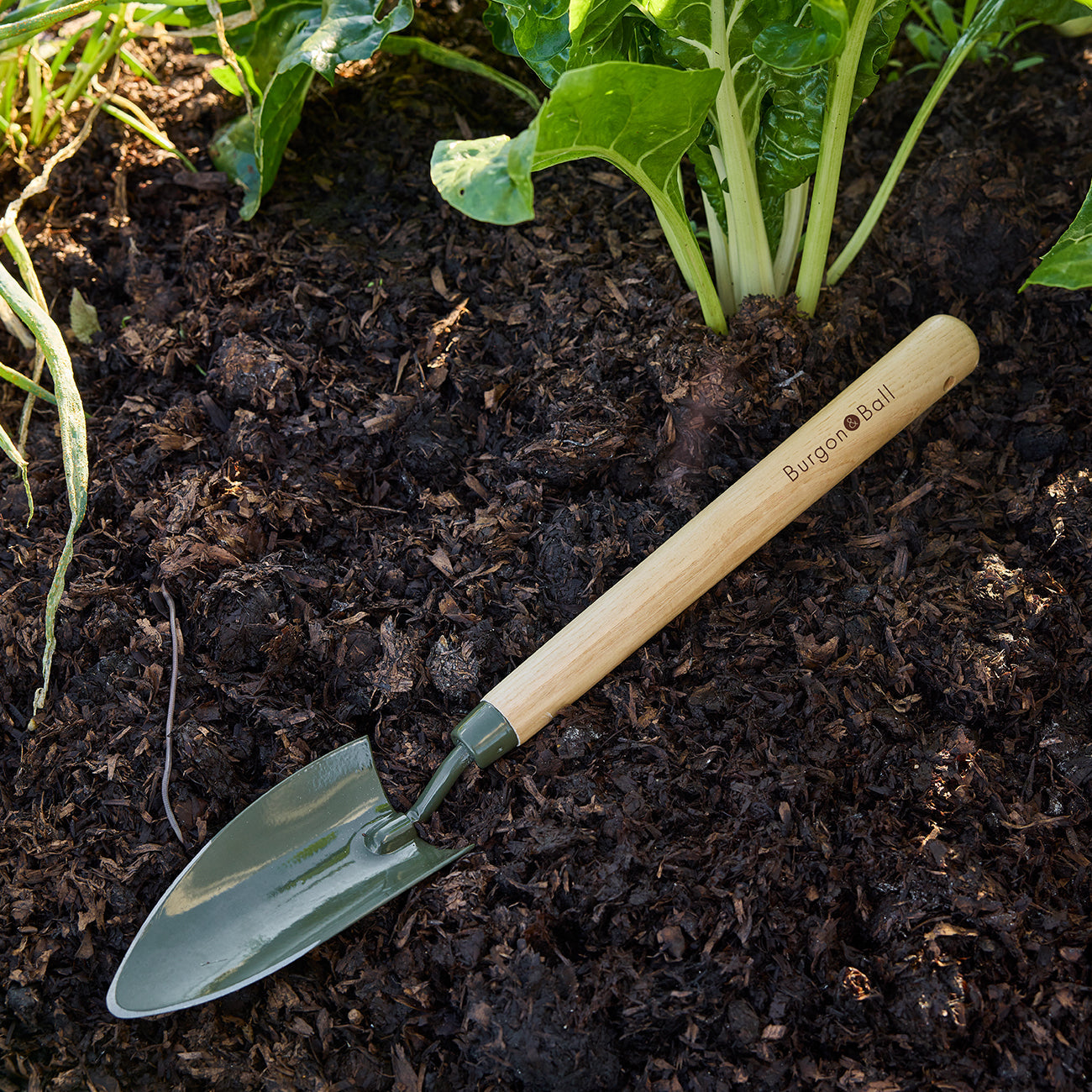 Mid-Handled Garden Trowel with Boron Steel Head and FSC Ash Handle