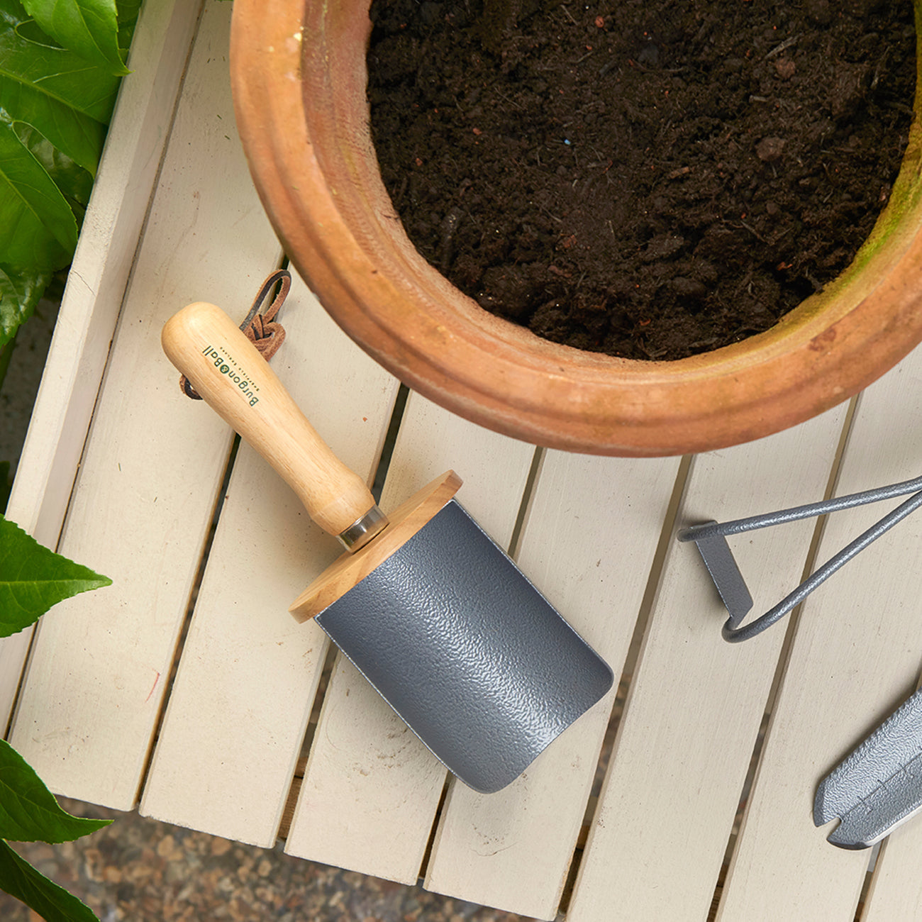 High-Carbon Steel Container Compost Scoop with FSC Hardwood Handle and Collar