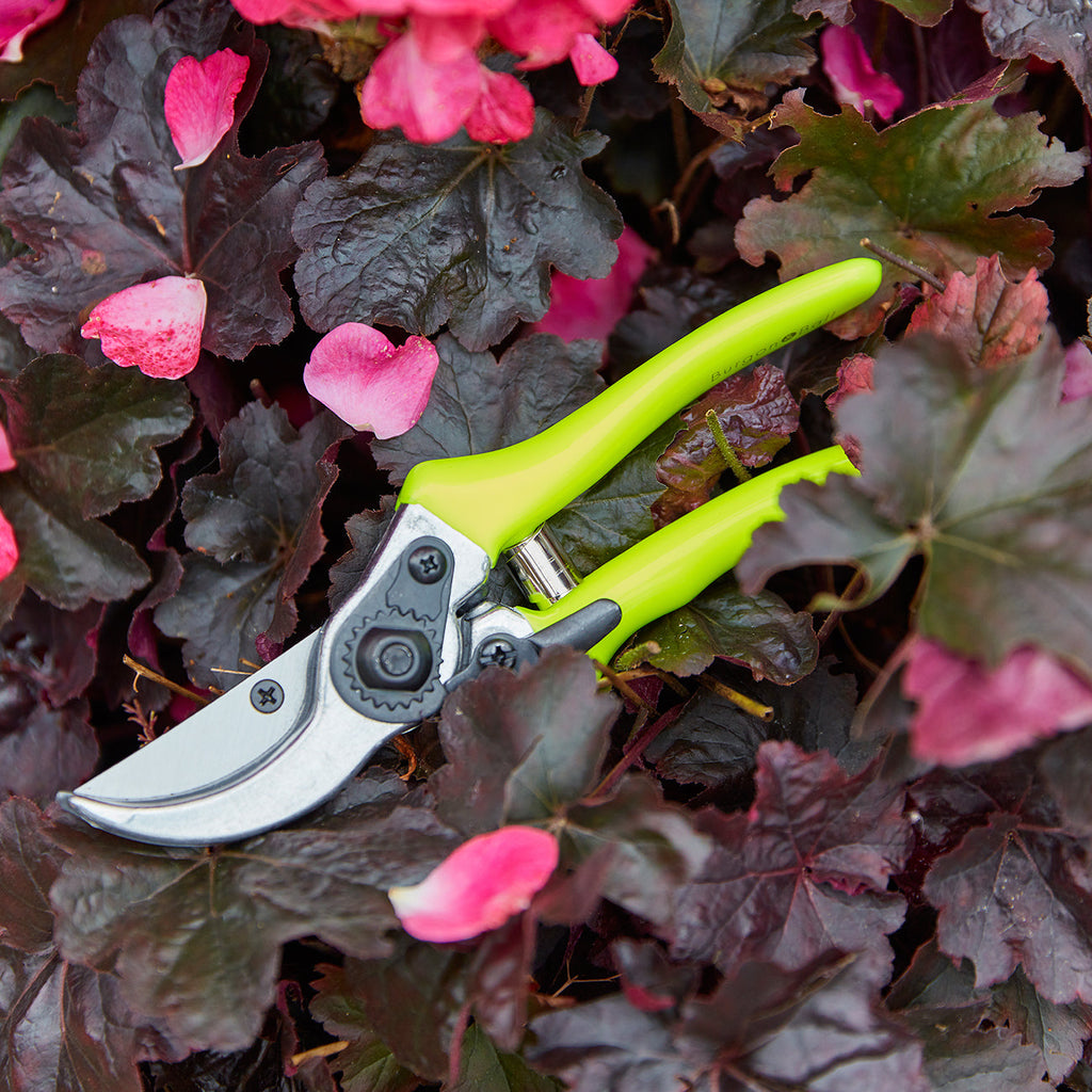 Yellow Bypass Secateurs