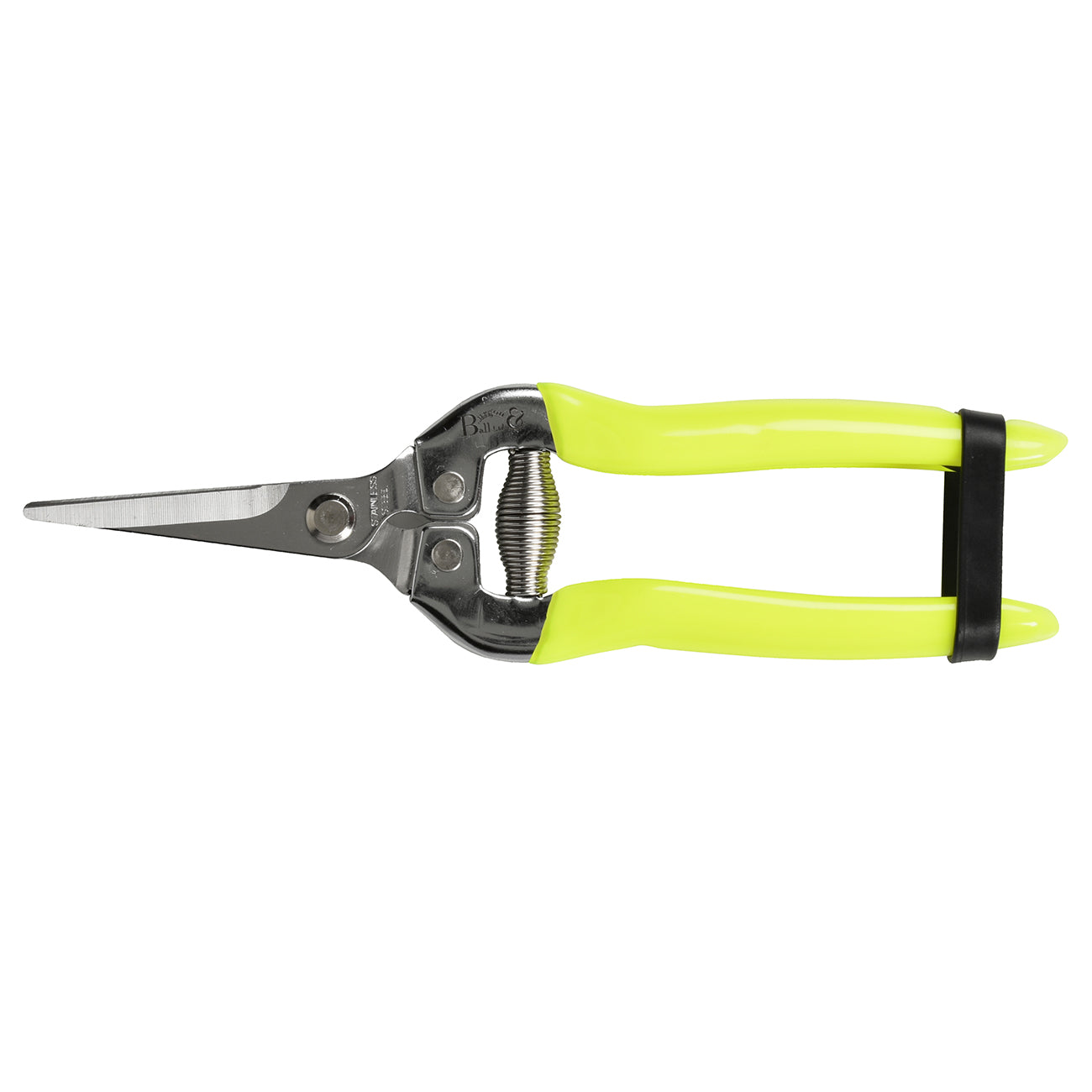 Yellow Flower & Fruit Snip RHS Endorsed