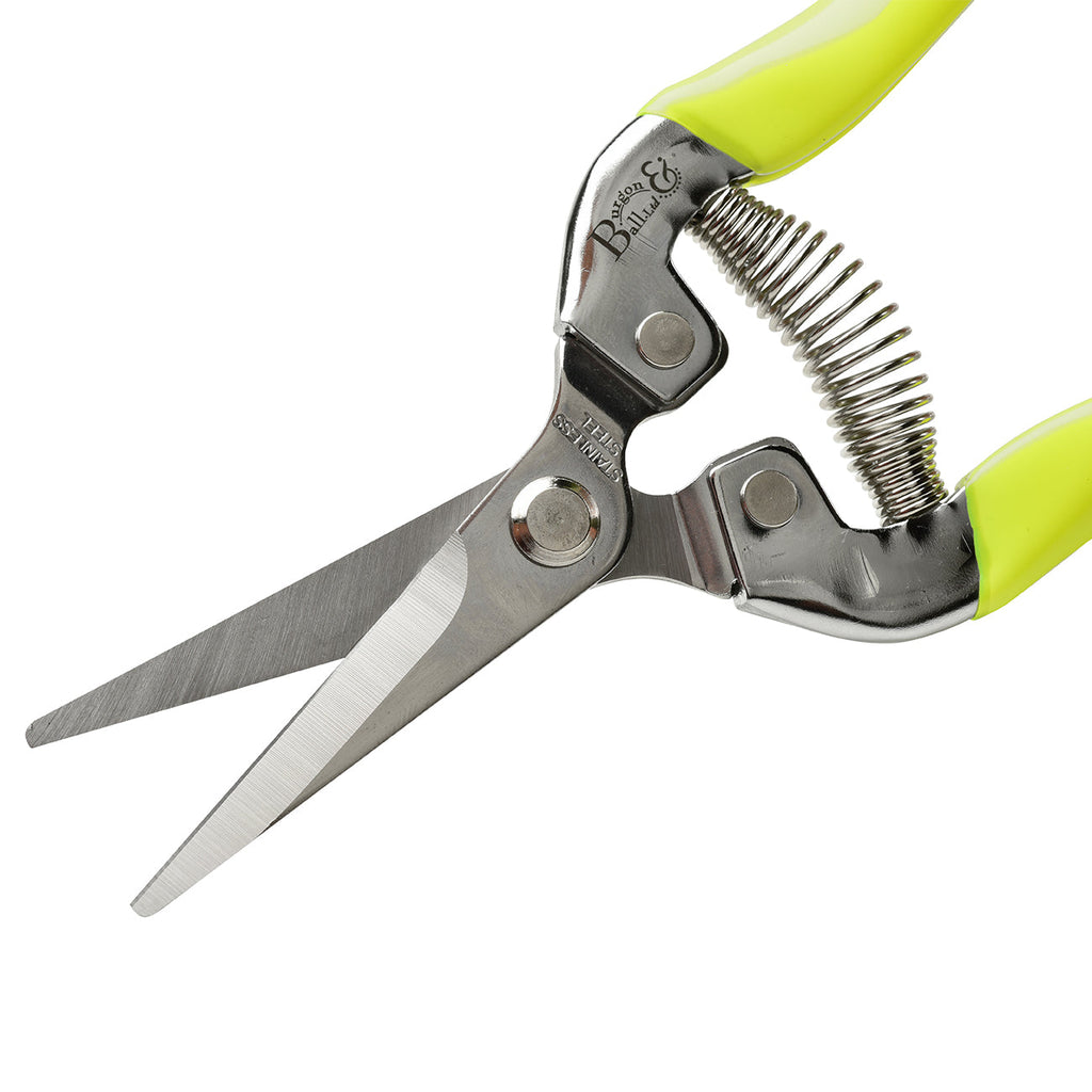 Yellow Flower & Fruit Snip RHS Endorsed