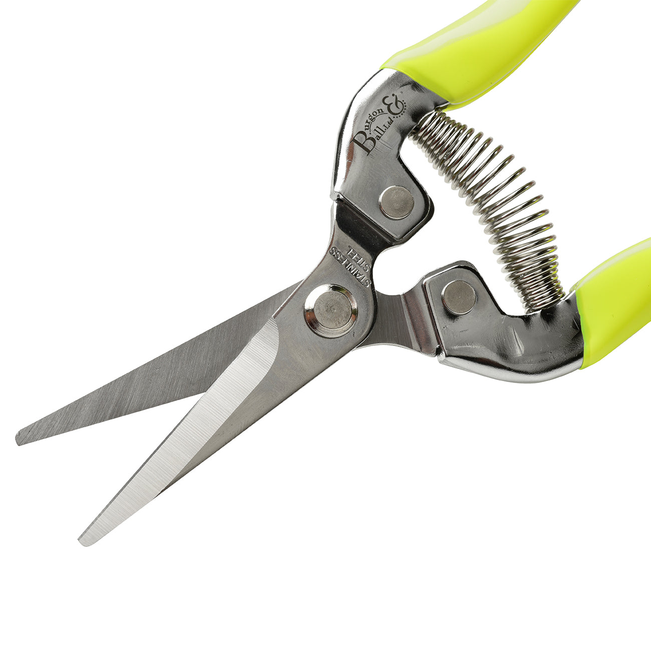 Yellow Flower & Fruit Snip RHS Endorsed