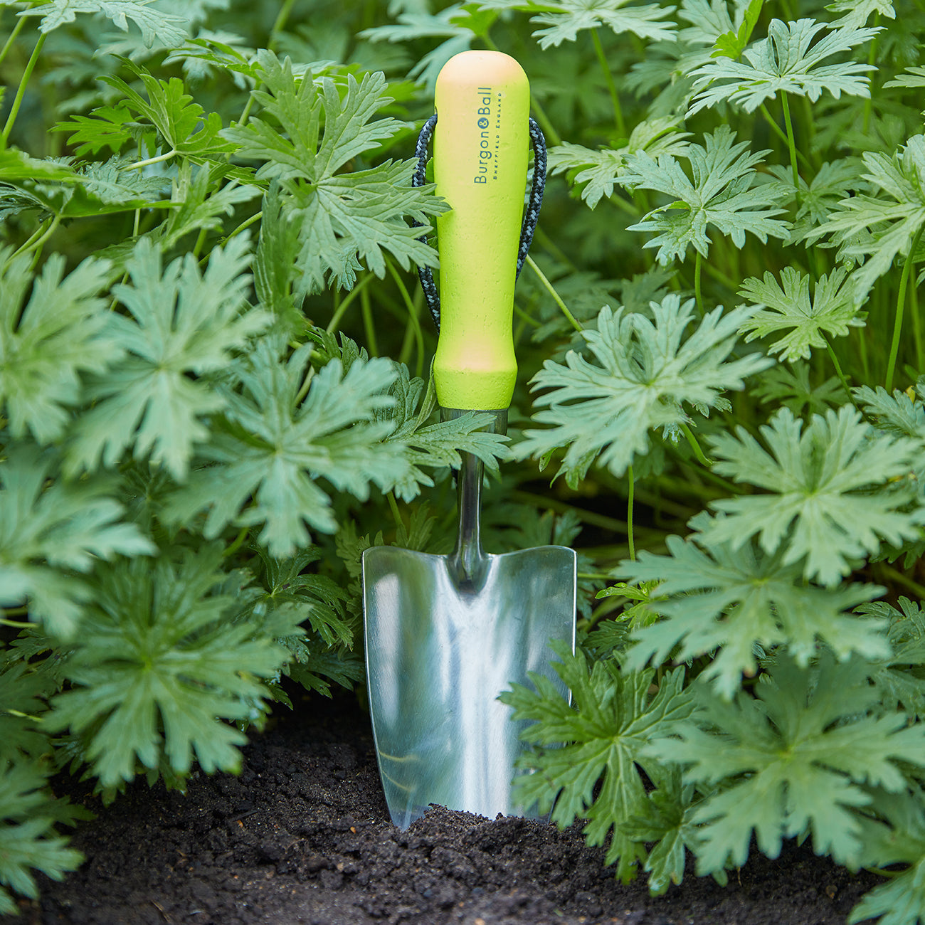 Yellow Stainless Steel Hand Trowel with Ergonomic Wooden Handle for Garden Planting