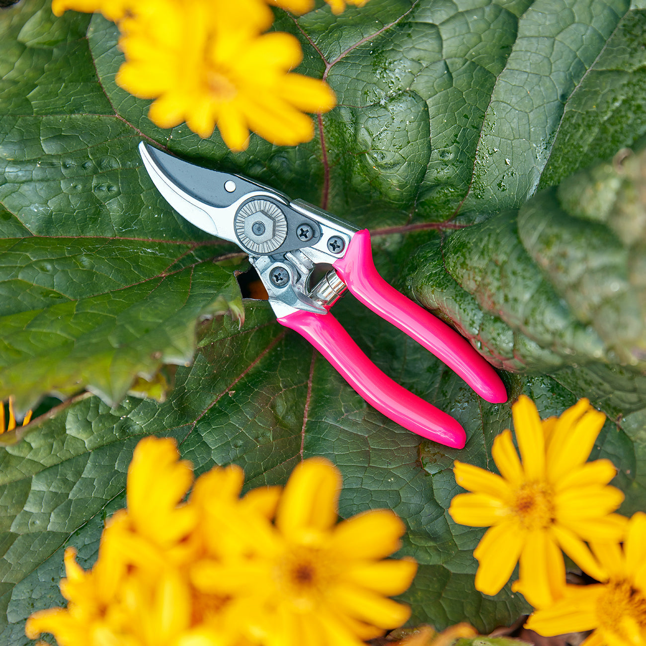 Pink Fluorescent Bypass Pocket Pruner for Small to Medium Hands