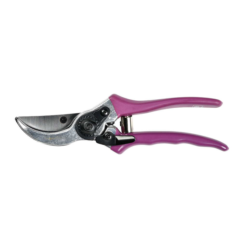 Floral Bypass Secateur with Gift Box for Garden Pruning