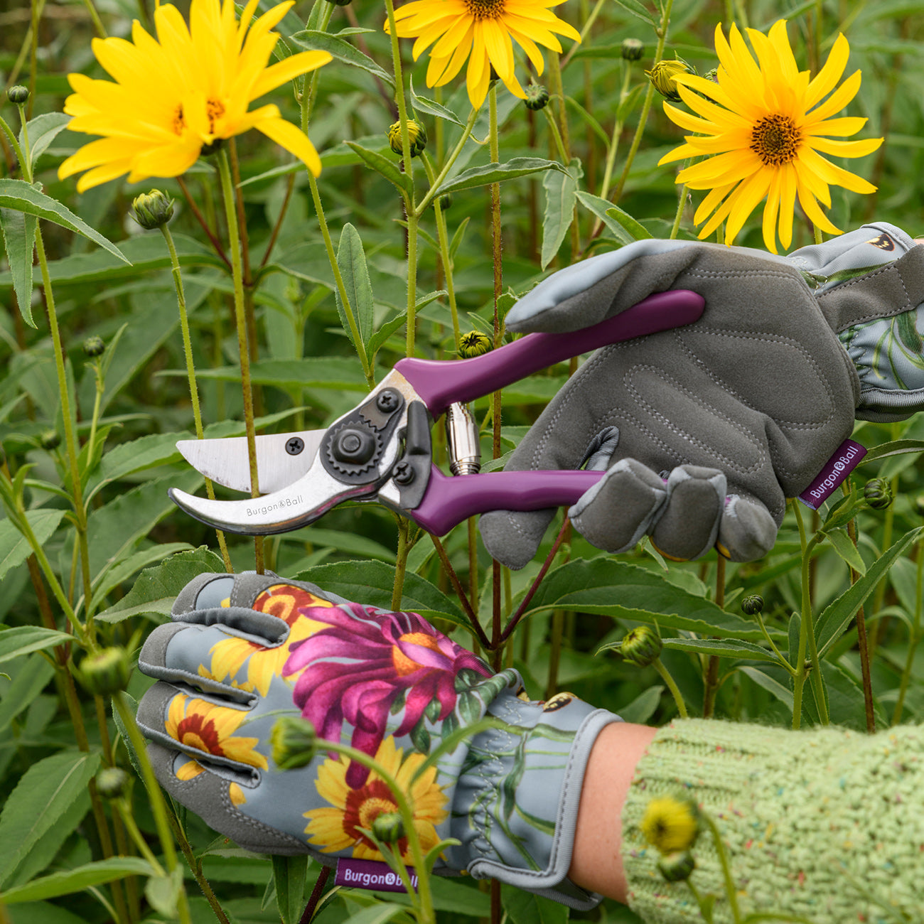 Floral Bypass Secateur with Gift Box for Garden Pruning