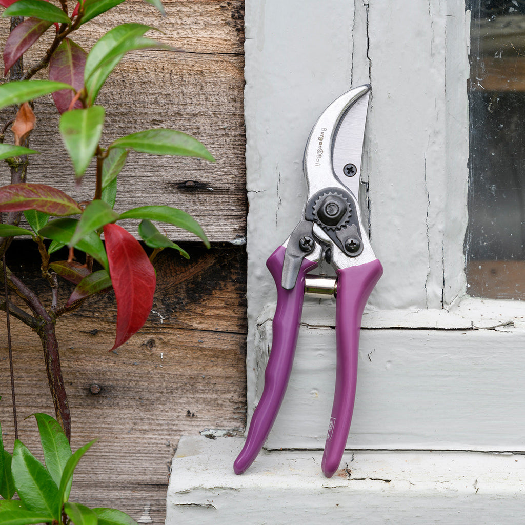 Floral Bypass Secateur with Gift Box for Garden Pruning