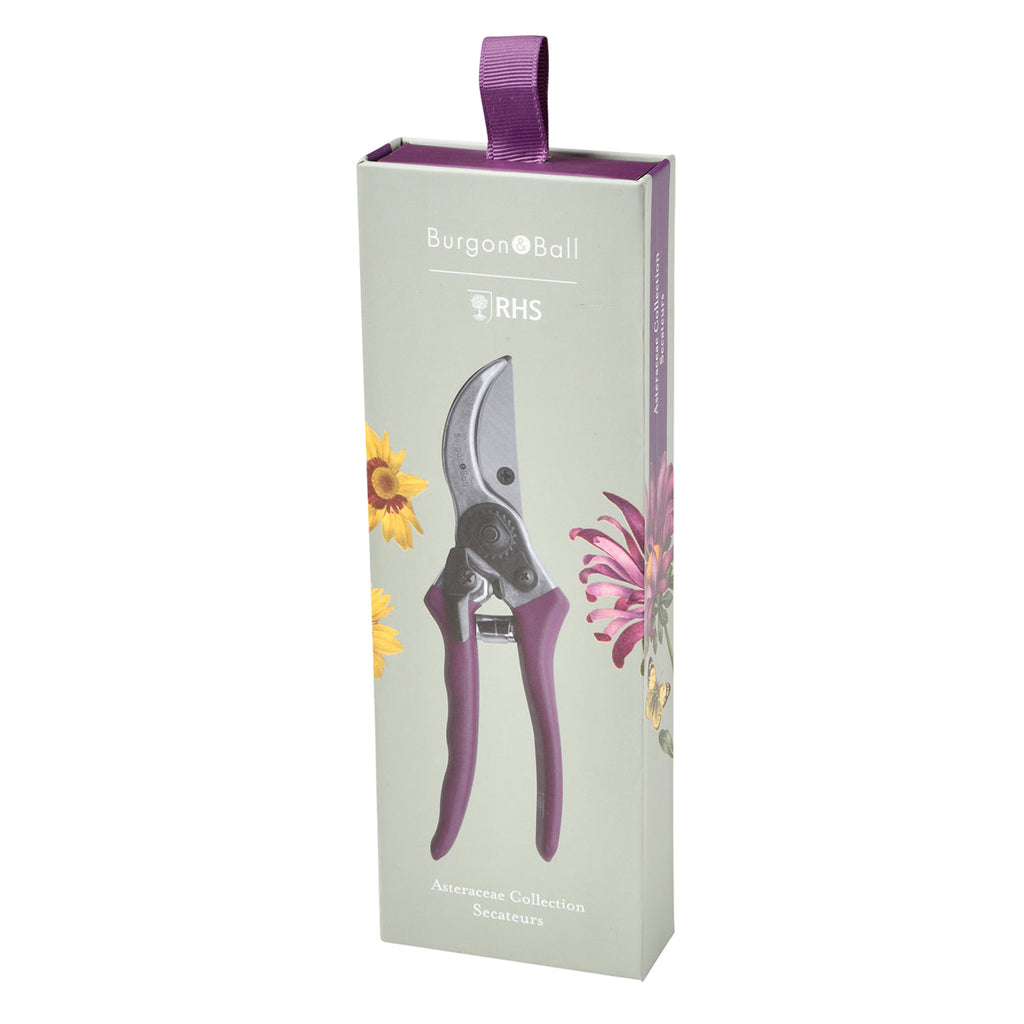Floral Bypass Secateur with Gift Box for Garden Pruning