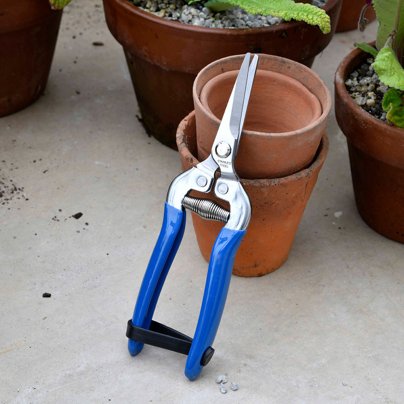 Stainless Steel Scissor Action Garden Snip with Navy Blue Floral Handle