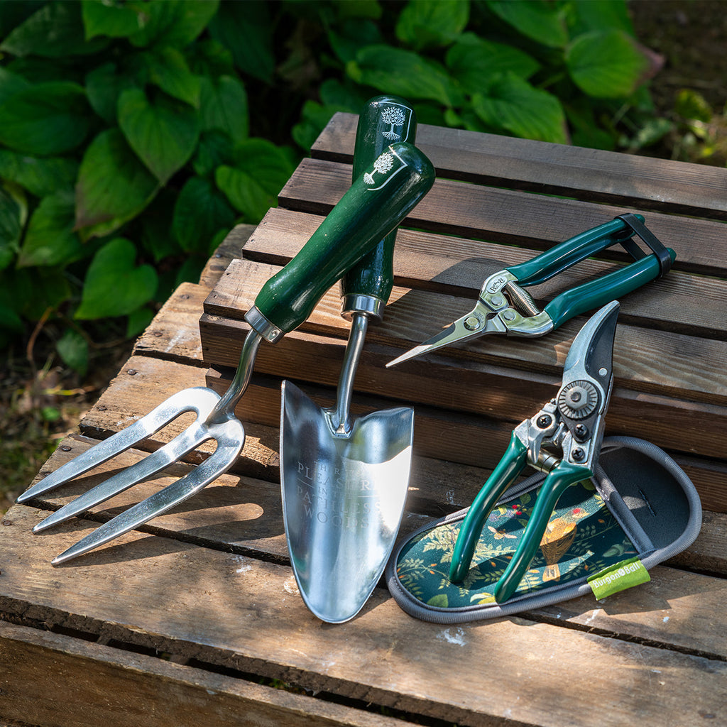 Stainless Steel Trowel and Fork Set with FSC Hardwood Handle