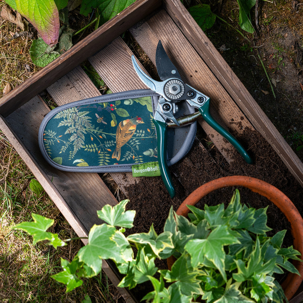 Gardening Pruner and Neoprene Holster Gift Set with Green Alloy Handles