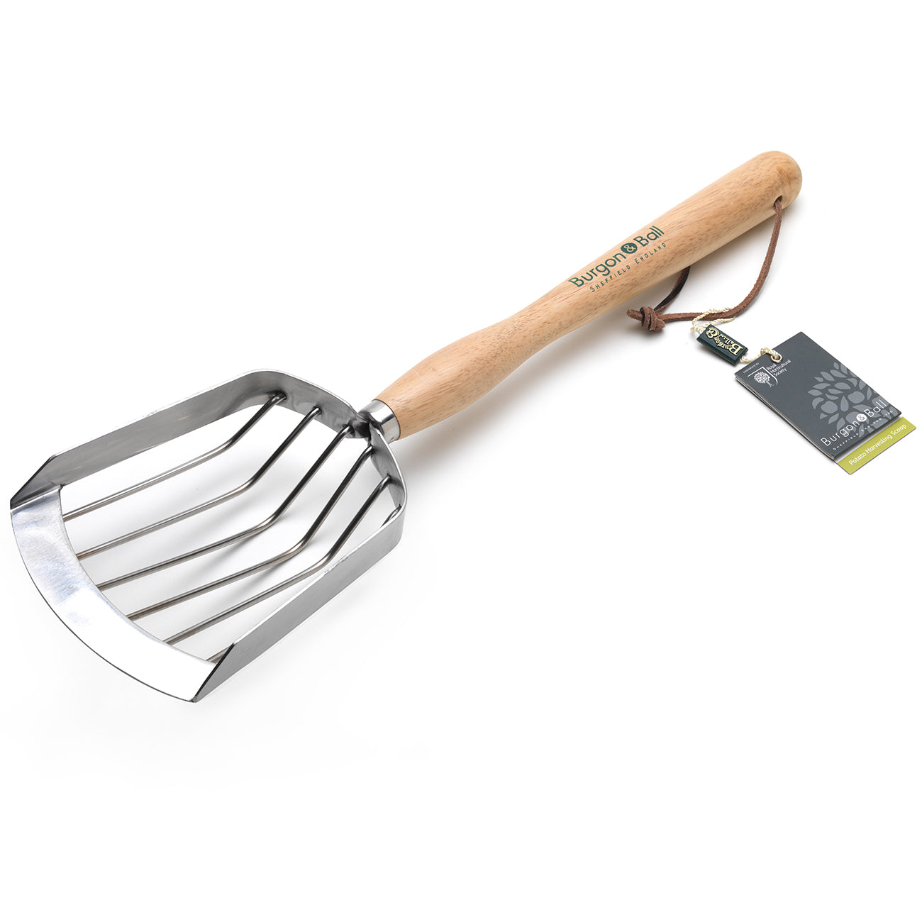 Stainless Steel Mid Handle Potato Harvesting Scoop for Container Garden