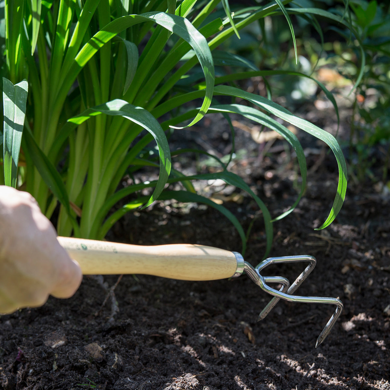Stainless Steel Mid Handled Claw Cultivator with Hardwood Handle and Leather Cord