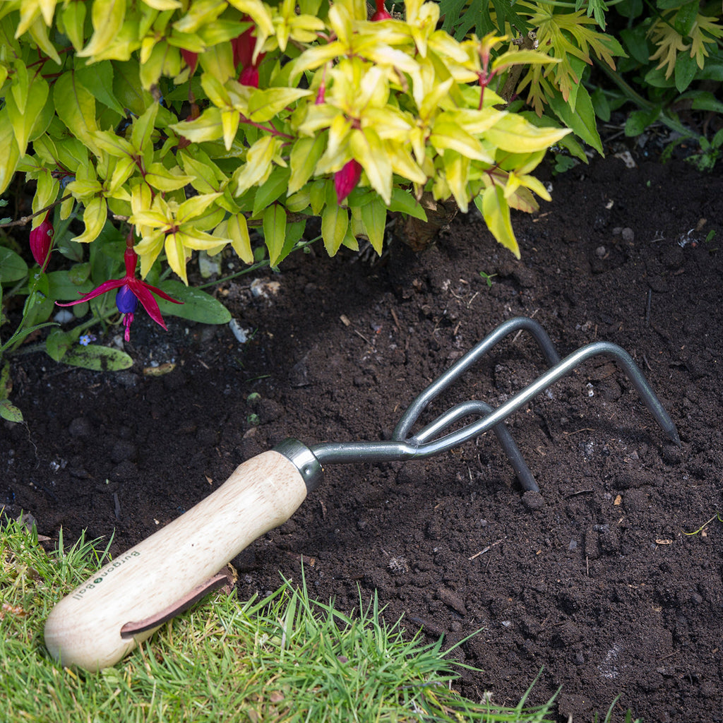 Stainless Steel Claw Cultivator with FSC Certified Hardwood Handle