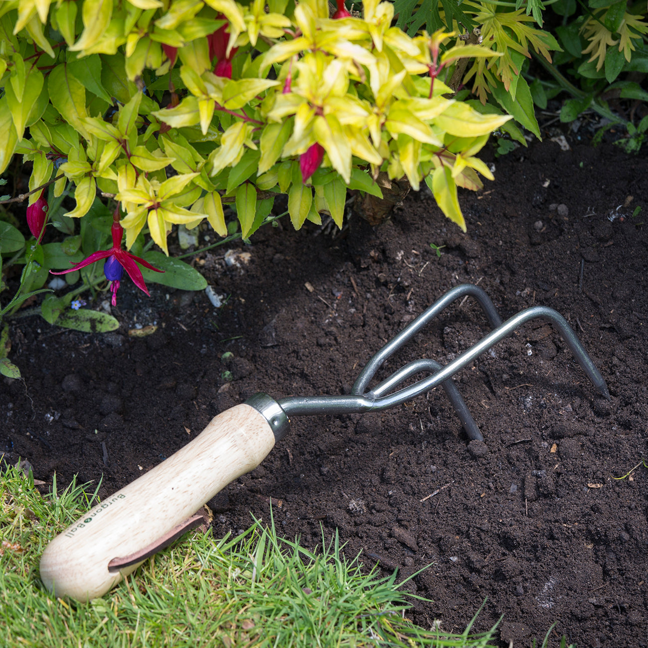 Stainless Steel Claw Cultivator with FSC Certified Hardwood Handle