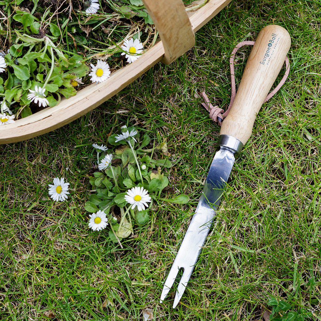 Stainless Steel Daisy Grubber Weeding Tool with Hardwood Handle