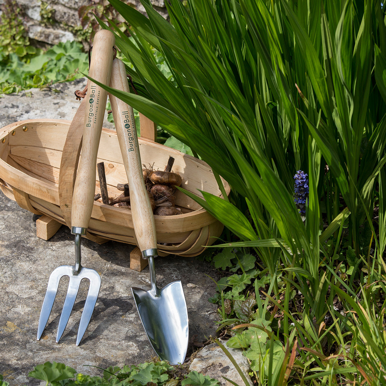 Stainless Steel Mid Handled Garden Fork with Hardwood Handle