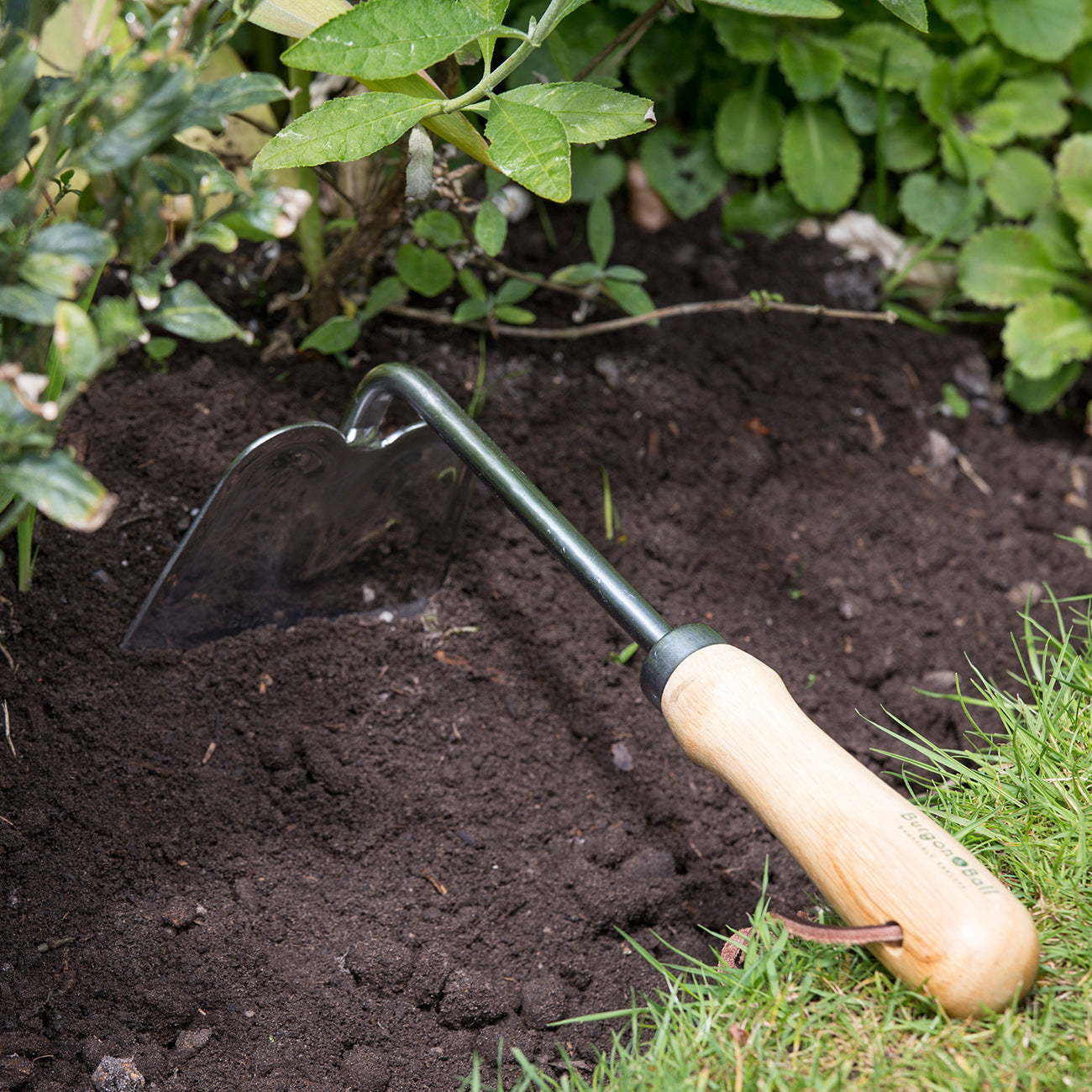 Stainless Steel Hand Hoe with FSC Hardwood Handle for Weeding and Cultivation