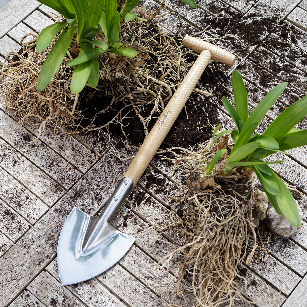 Stainless Steel Mid-Handled Perennial Spade for Dividing Plants