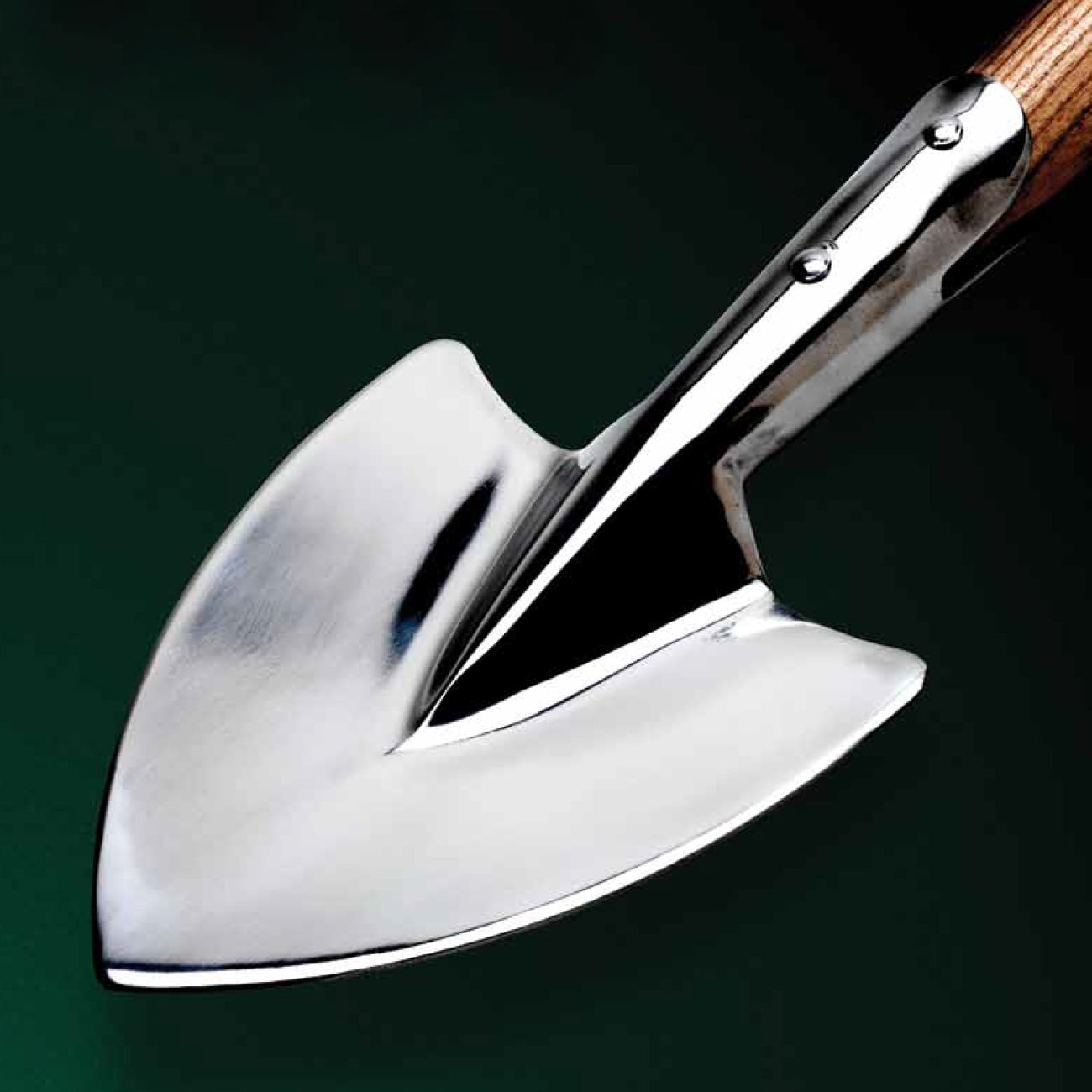 Stainless Steel Mid-Handled Perennial Spade for Dividing Plants