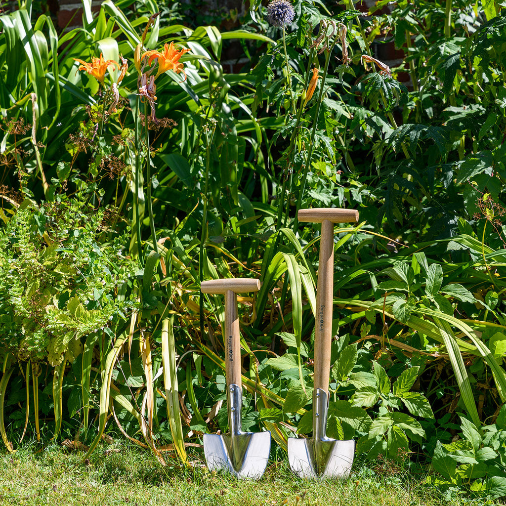Stainless Steel Mid-Handled Perennial Spade for Dividing Plants
