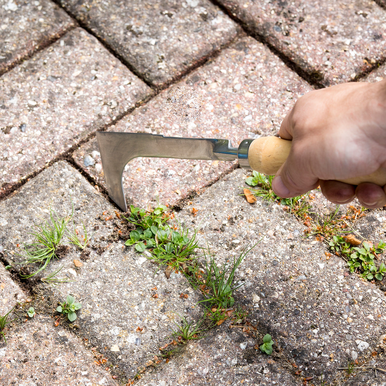 Stainless Steel Block Paving Knife Weeder with Hardwood Handle