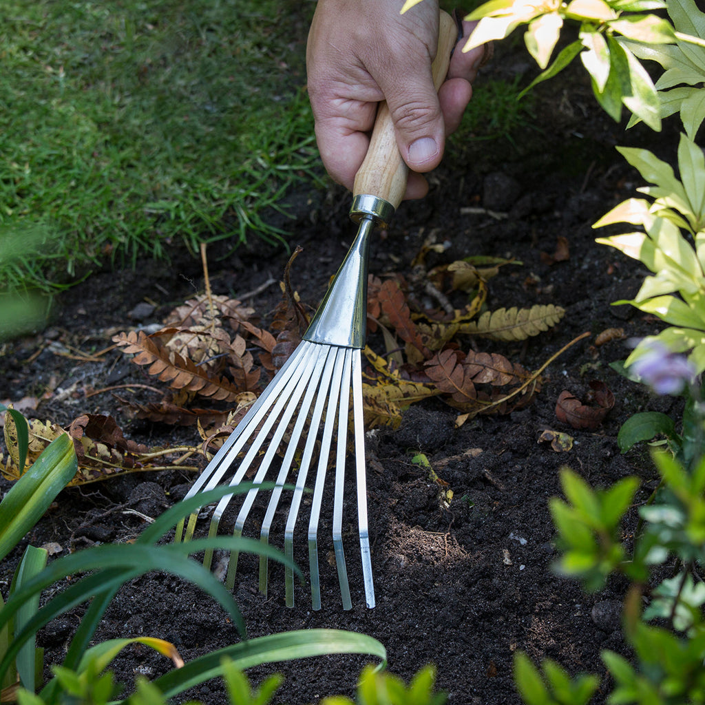 Shrub Rake