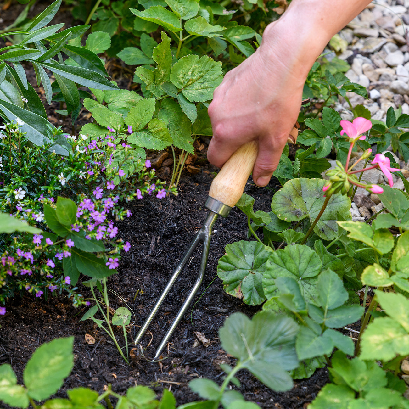 Stainless Steel Weeding Fork with Hardwood Handle and Leather Cord