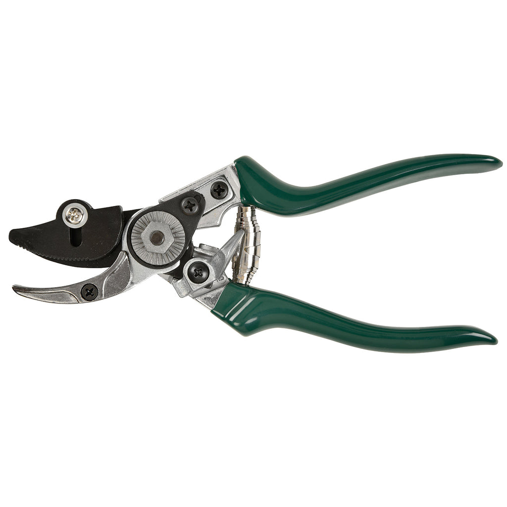 Bypass Rose Pruner Cut and Hold Secateur Green Handle Garden Tool