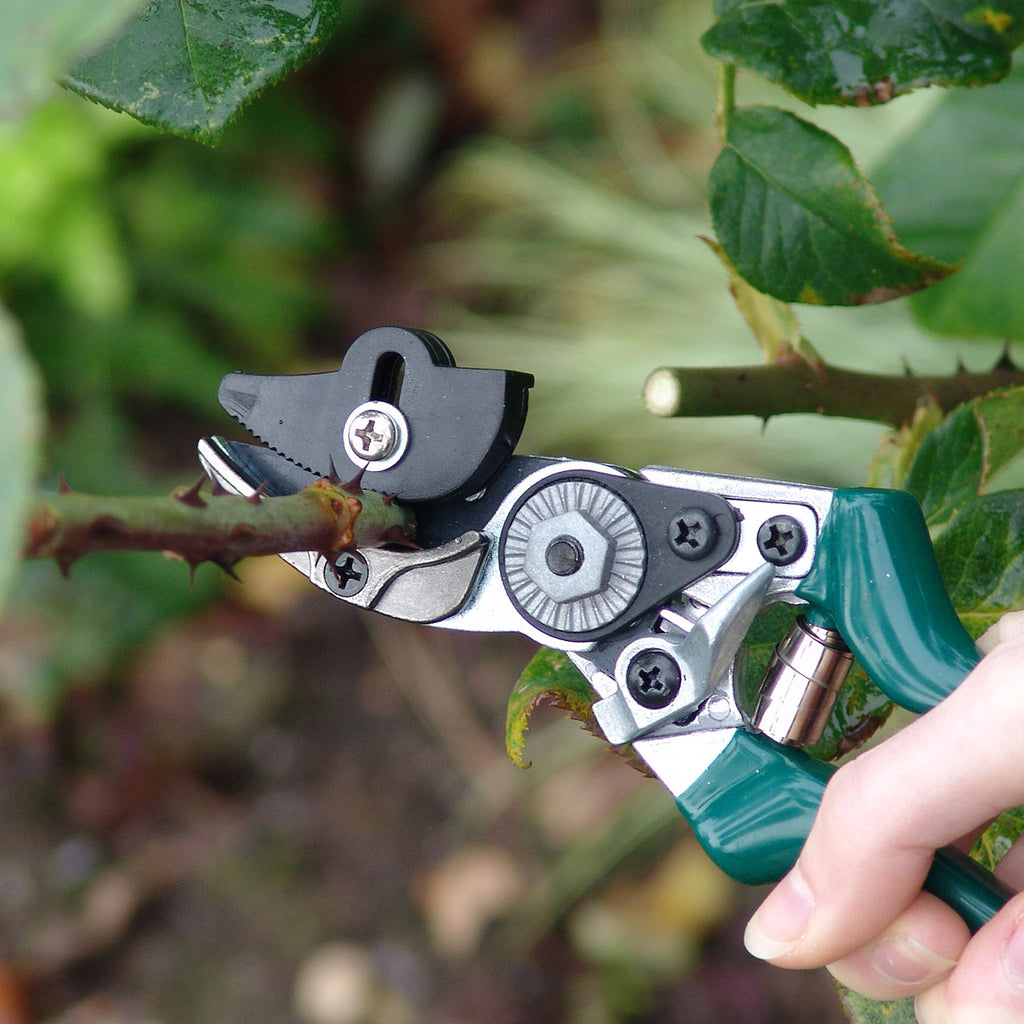 Bypass Rose Pruner Cut and Hold Secateur Green Handle Garden Tool