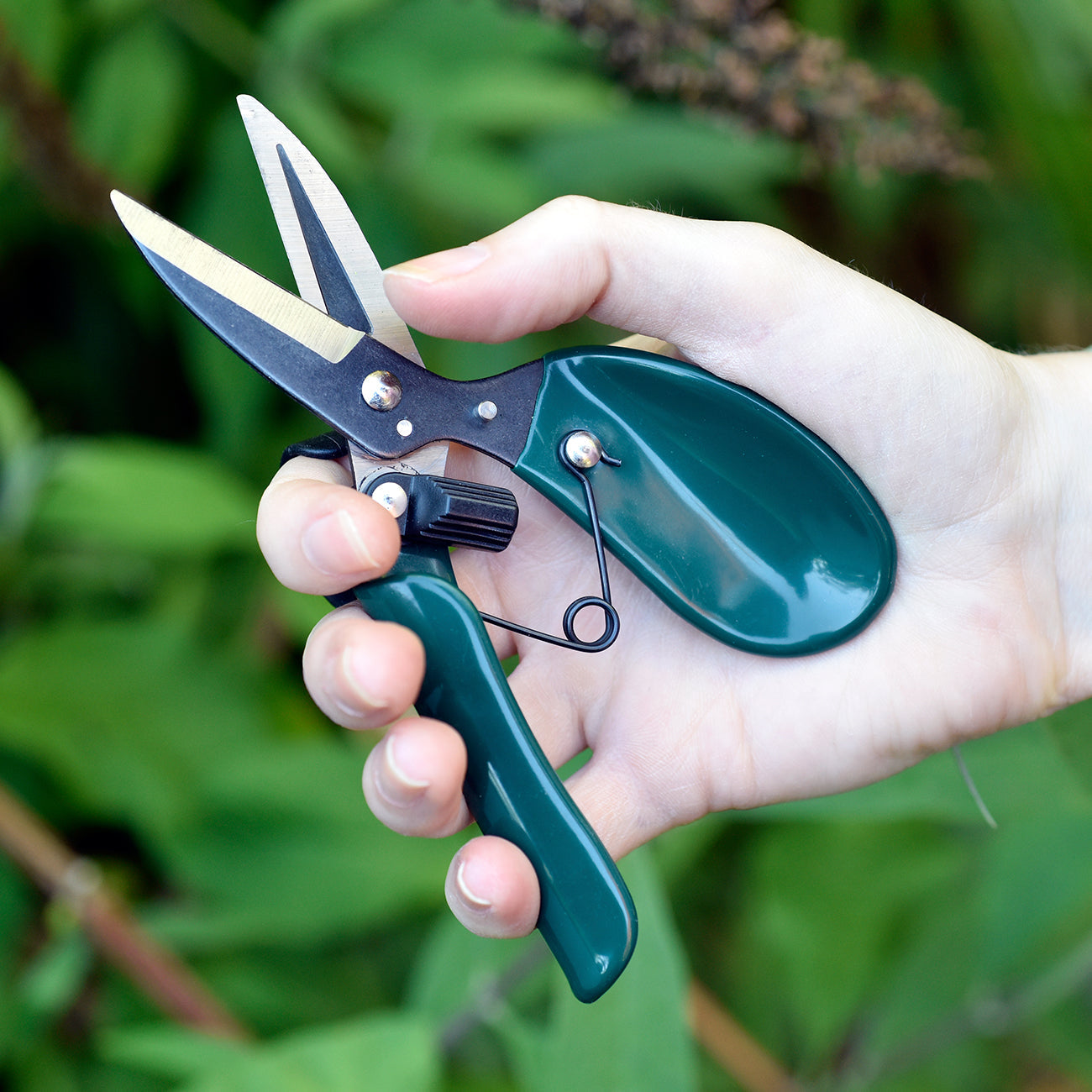 Ergonomic Deadheader Pruner with Index Finger Loop for Comfortable Deadheading