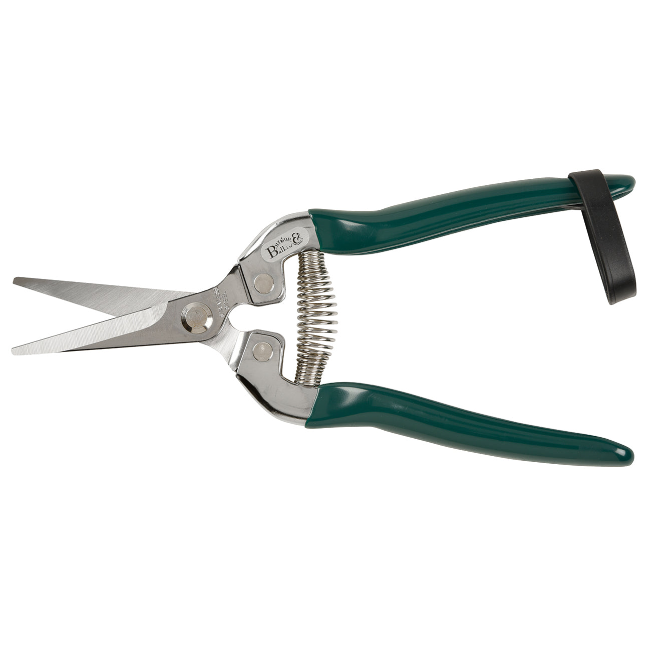 Stainless Steel Flower and Fruit Snip with Pointed Blades Green Handles