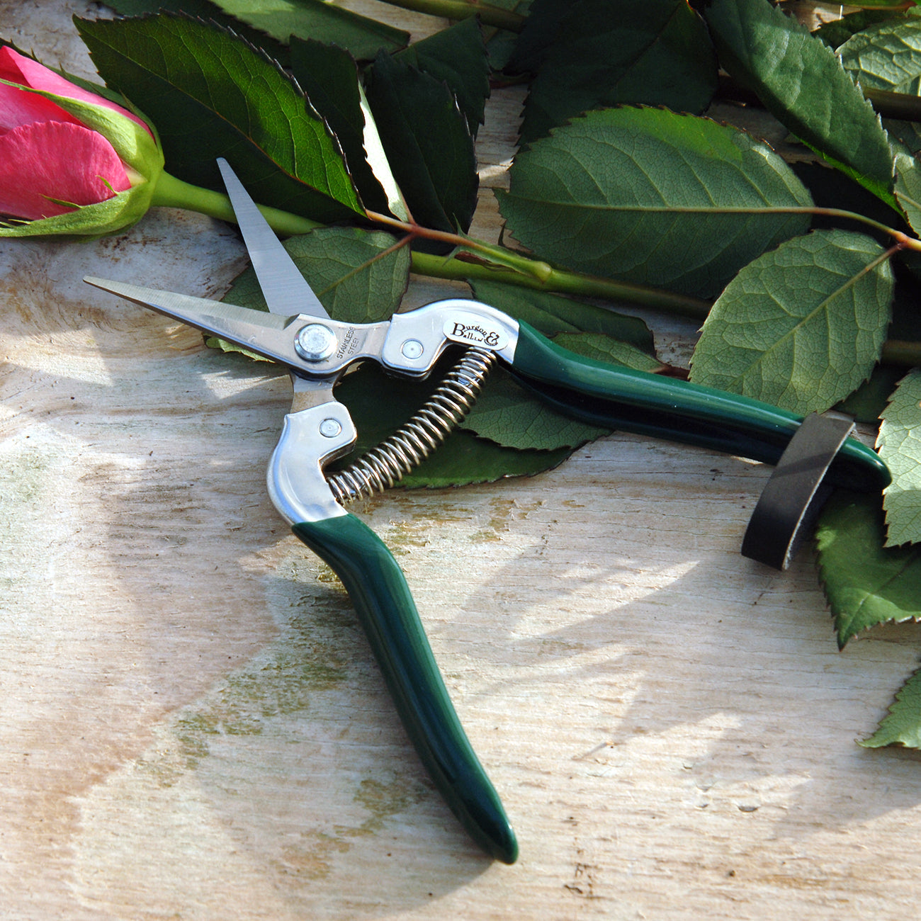 Stainless Steel Flower and Fruit Snip with Pointed Blades Green Handles