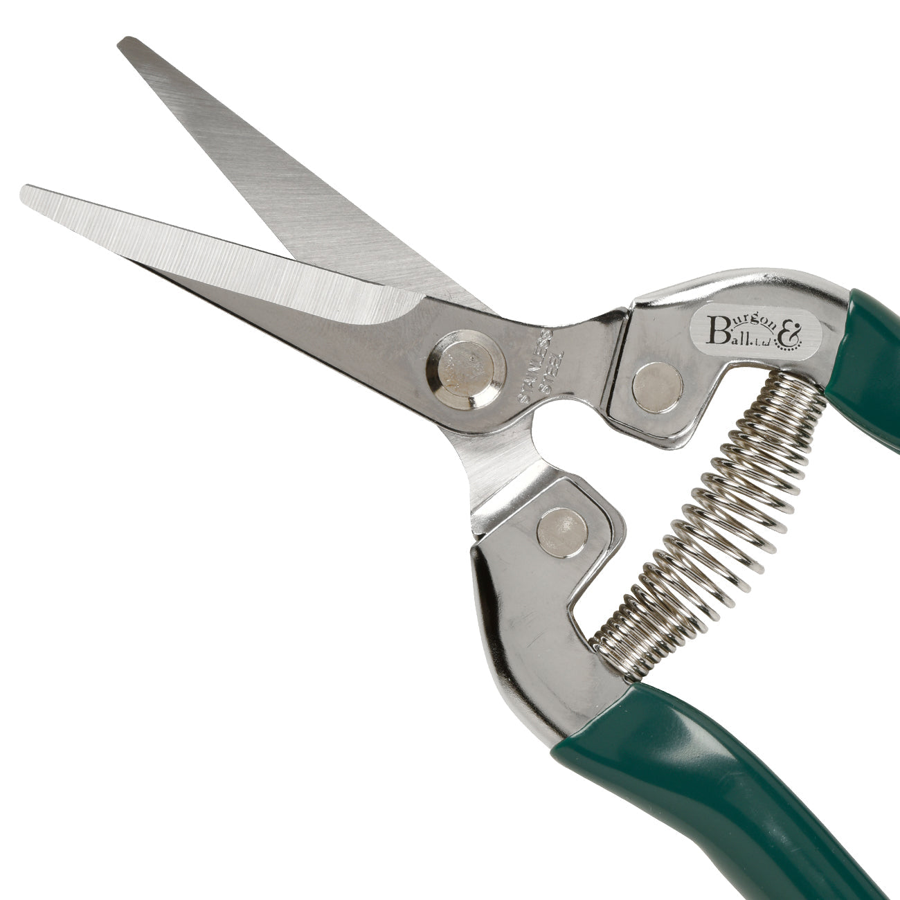 Stainless Steel Flower and Fruit Snip with Pointed Blades Green Handles