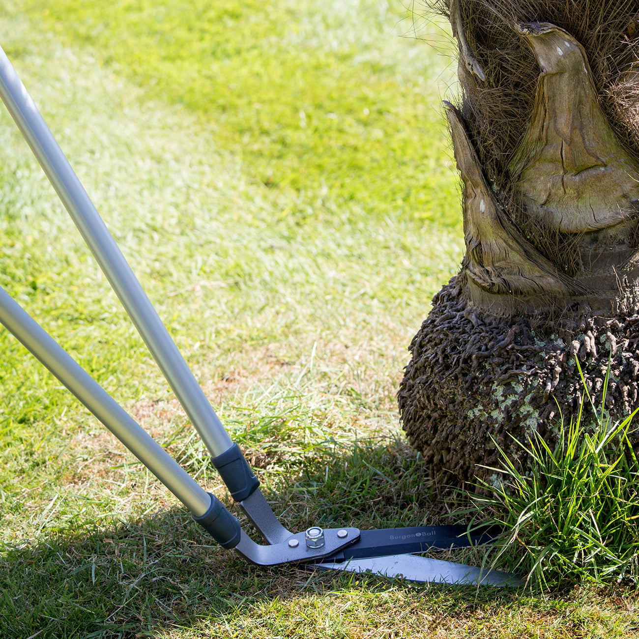 Lawn Shear