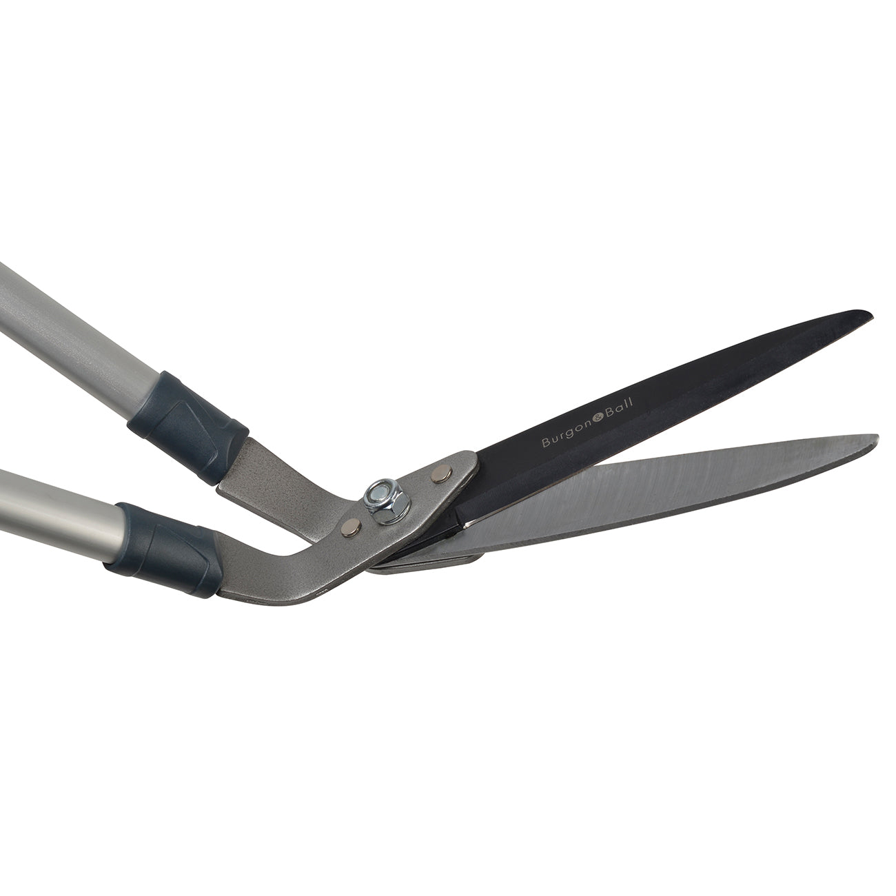 Lawn Shear