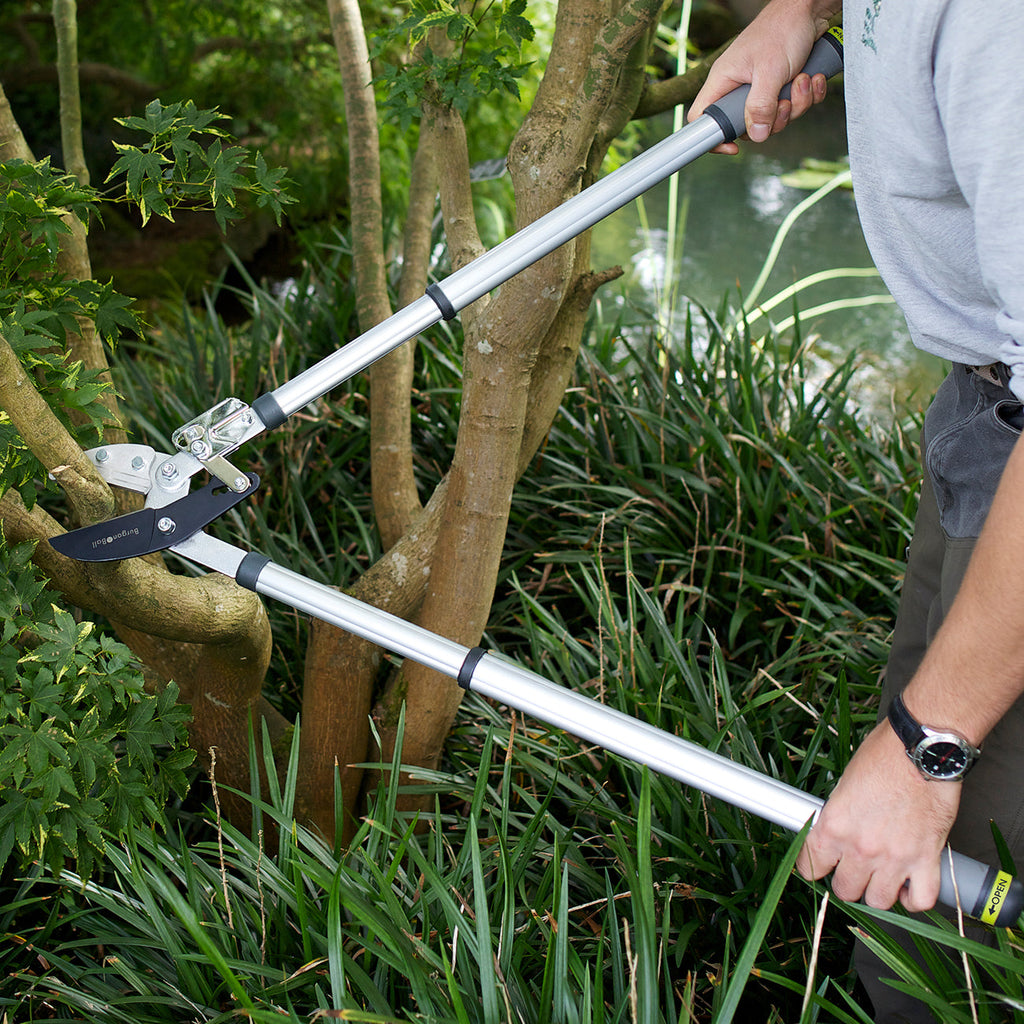Telescopic Ratchet Lopper Heavy Duty Ratchet Action Garden Pruning Tool