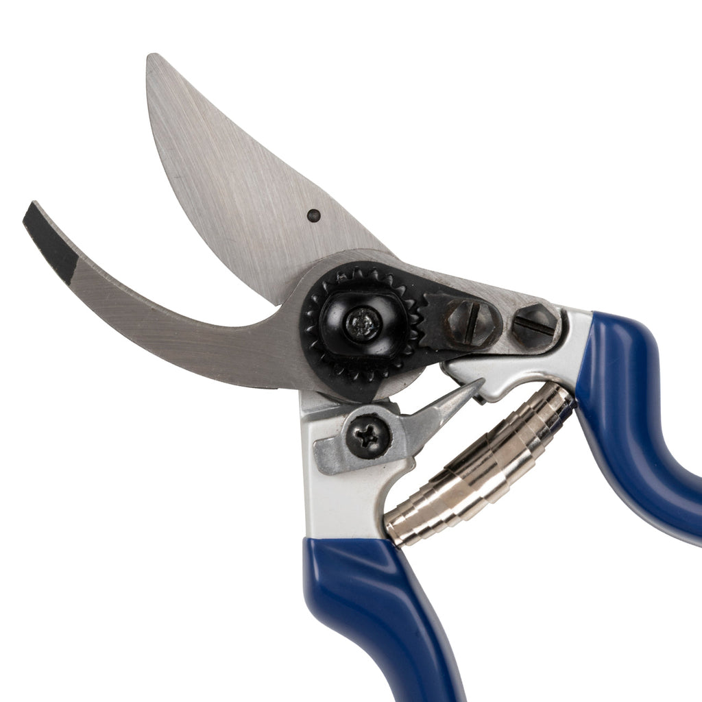 Professional Bypass Secateur Blue Handle High-Carbon Steel Garden Pruner