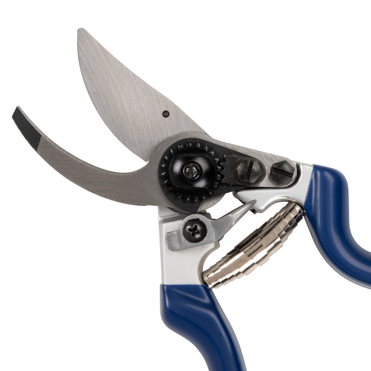 Professional Bypass Secateur Blue Handle High-Carbon Steel Garden Pruner