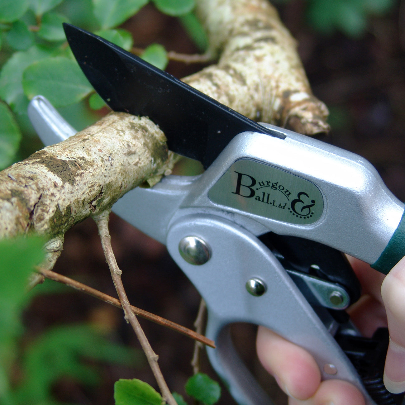 Ratchet Pruner Anvil Action Garden Cutting Tool for Thick Stems