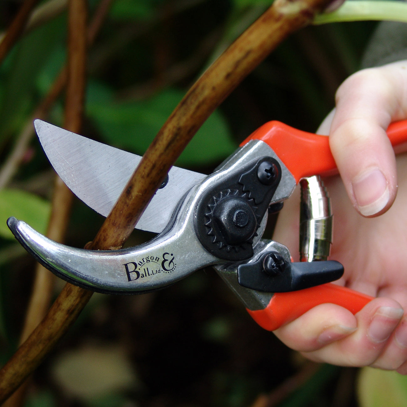 Bypass Secateurs Terracotta Handle Soft Grip Pruner Garden Tool