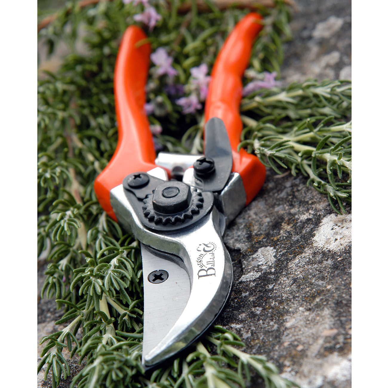 Bypass Secateurs Terracotta Handle Soft Grip Pruner Garden Tool