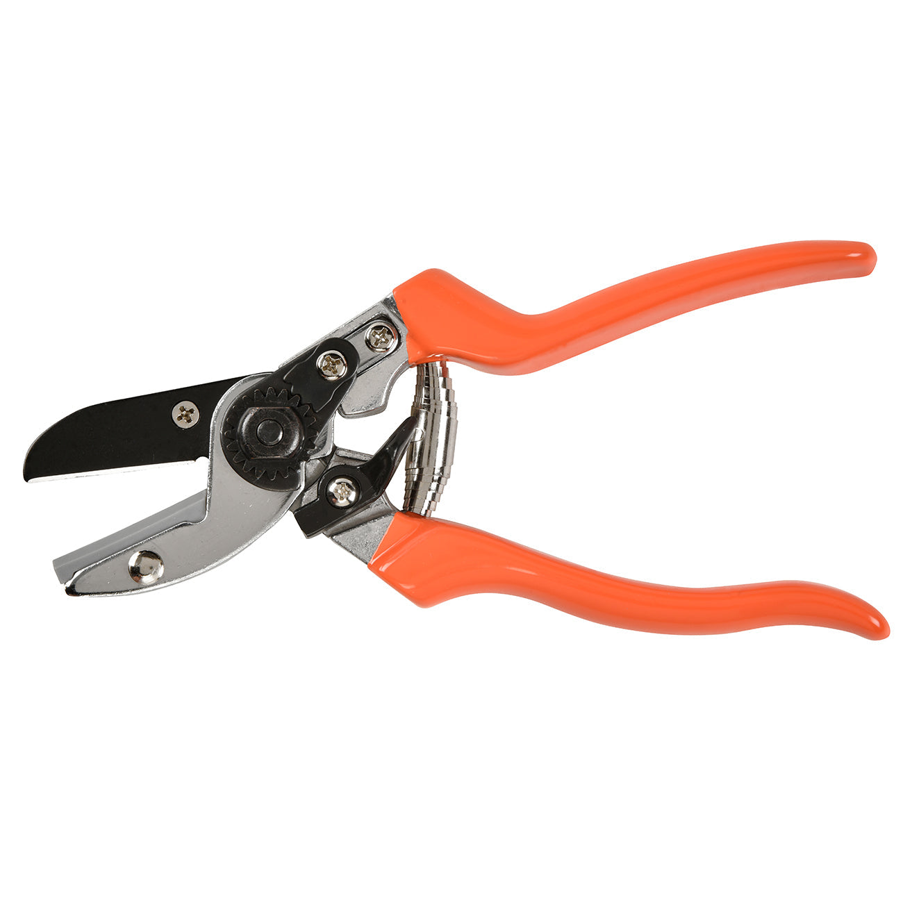 Anvil Secateur with Terracotta Handle