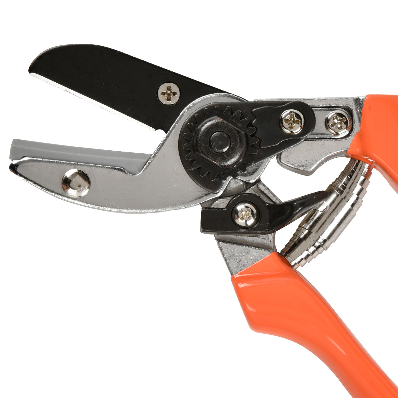 Anvil Secateur with Terracotta Handle