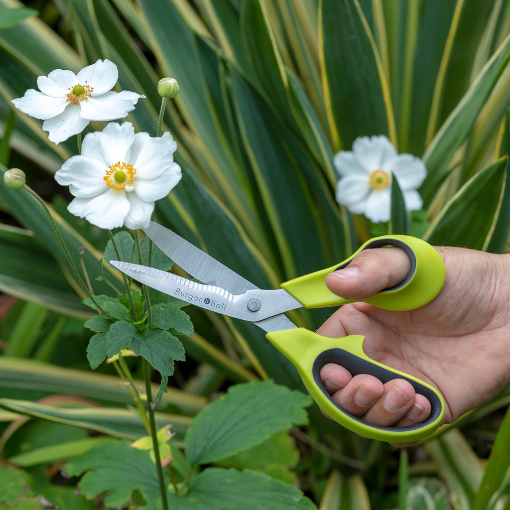 Garden and Flower Scissors with Serrated Blade for Clean Cutting