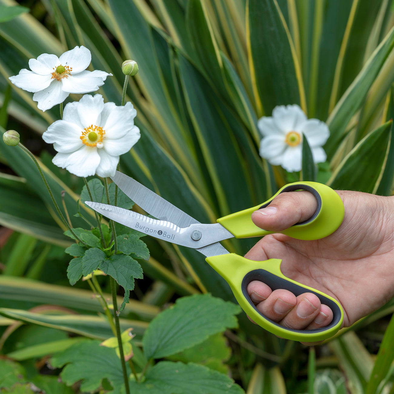 Garden and Flower Scissors with Serrated Blade for Clean Cutting